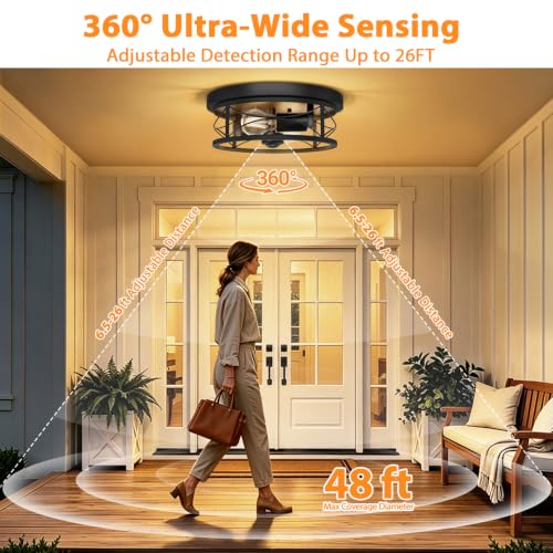 Motion Sensor Outdoor Ceiling Light