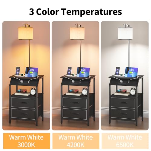 End Table with Floor Lamp