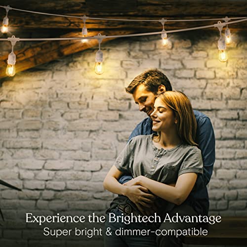 Ambience Pro Waterproof LED Outdoor String Lights (48 Foot)