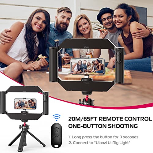 Smartphone Video Rig with Light