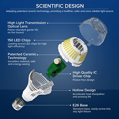Dimmable LED Light Bulbs (2 Count)