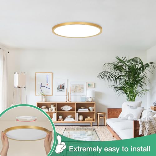 12 Inch LED Flush Mount Ceiling Light Fixture (2 Count)