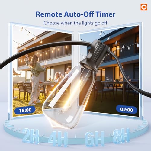 100FT Outdoor String Lights ST38 LED with Remote Waterproof Dimmable (100 Foot)