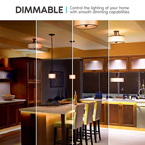 A21 LED Bulbs 150 Watt Equivalent (8 Count)