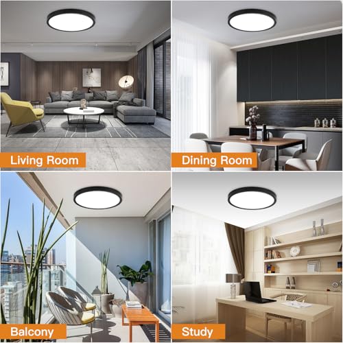 Dimmable Flush Mount Ceiling Light