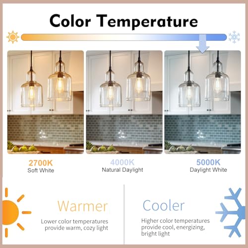 16 Pack Dimmable Vintage LED Edison Bulbs (16 Count)