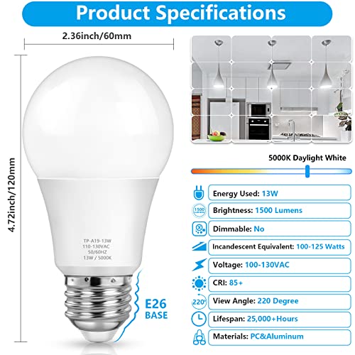 A19 LED Light Bulbs (10 Count)