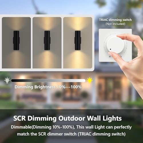5CCT Dimmable Wall Lights Outdoor 2 Packs