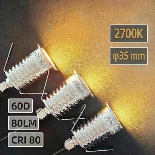 1W Recessed Low Voltage Deck Light 6 Pack 1.4 Inch (6 Count)