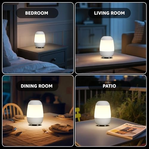 2 Pack Rechargeable Small Night Light Touch Dimmable Cordless Lamp (2 Count)