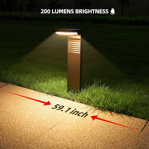 Solar Pathway Lights 4 Pack with Warm White and Cool White Mode (4 Count)