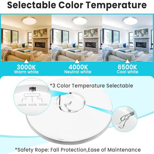 12 inch Flush Mount LED Ceiling Light Fixture (2 Count)