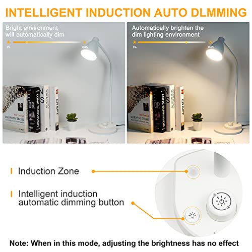 LED Desk Lamp with USB Charging Port