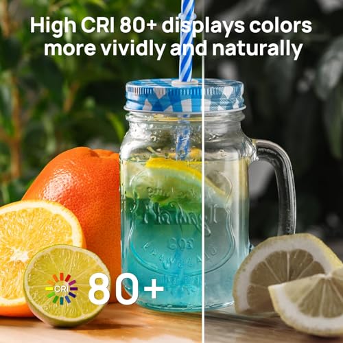 A19 LED Light Bulbs Dimmable (12 Count)