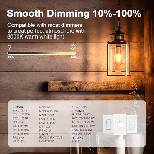Edison Bulb ST58