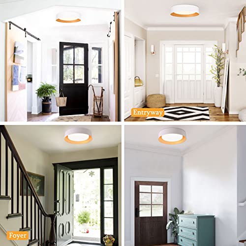 16.5" Flush Mount Ceiling Light