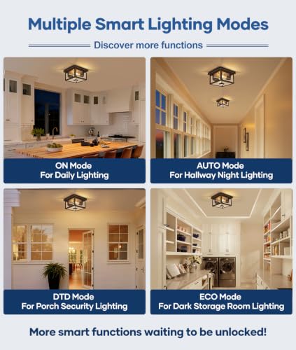 Motion Sensor Outdoor Ceiling Light with Remote