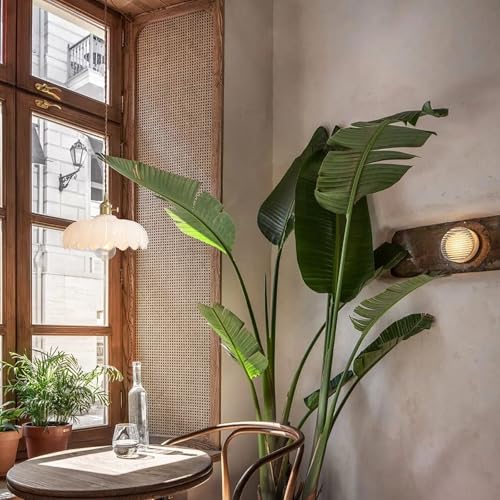 Plug in Pendant Light