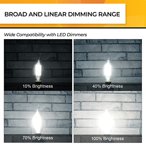 Candelabra Light Bulbs 5000K (24 Count)