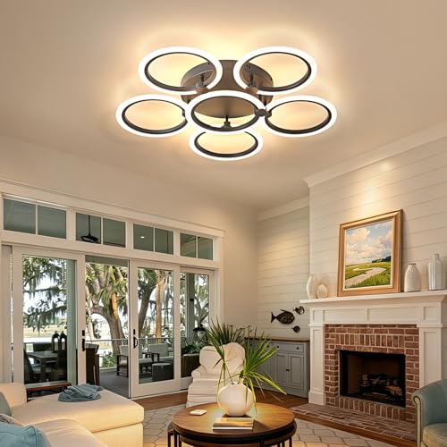 LED Ceiling Light