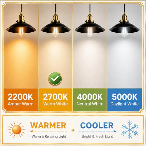 Vintage Edison LED Light Bulbs (4 Count)