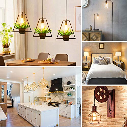 12 Pack Vintage 7W ST58 LED Edison Light Bulbs 60W Equivalent (12 Count)