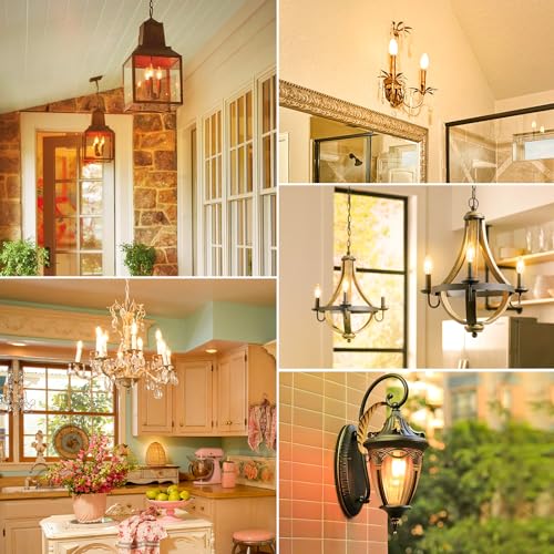Dimmable E12 LED Candelabra Bulbs 60W Equivalent (12 Count)
