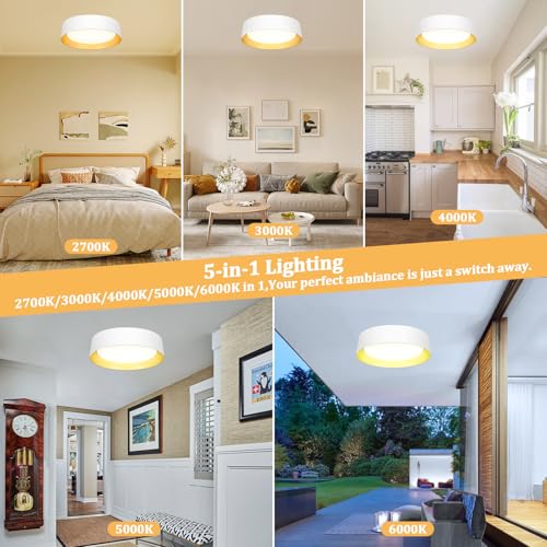 Flush Mount Ceiling Light (2 Count)