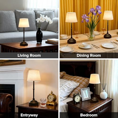 Cordless Table Lamp