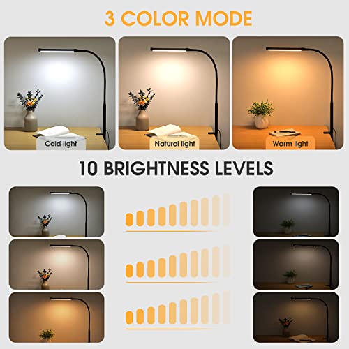LED Desk Lamp with Clamp