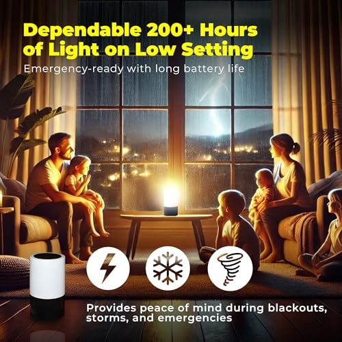 LFI Lights Emergency Table Lamp for Power Outages (2 Count)