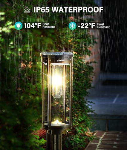 Solar Pathway Lights Outdoor Waterproof Warm White (2 Count)