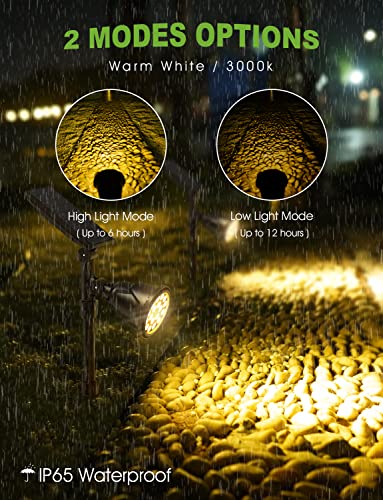 Solar Lights Outdoor (2 Count)