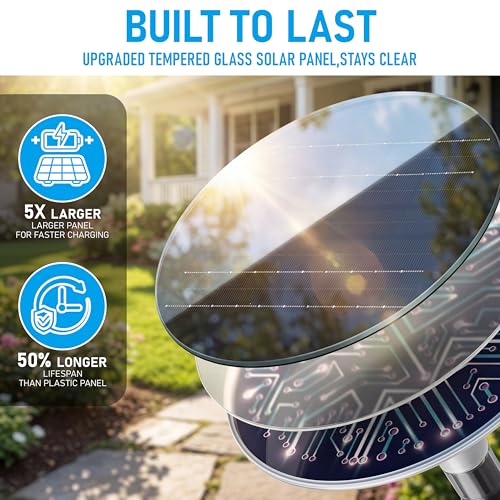 Solar Pathway Lights 8 Pack (8 Count)