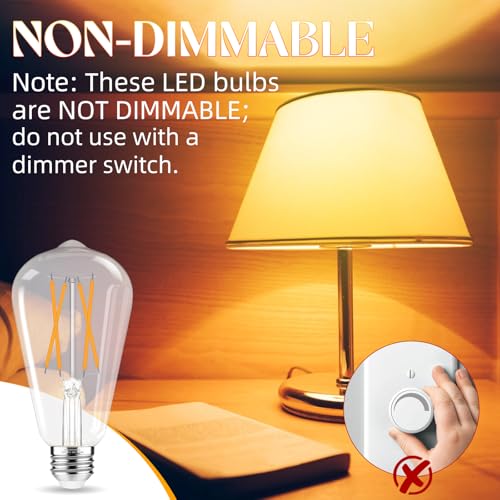 Edison Bulbs 60 watt LED (12 Count)