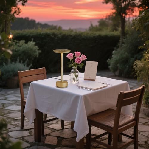 2 Pack Cordless Table Lamps Rechargeable (2 Count)