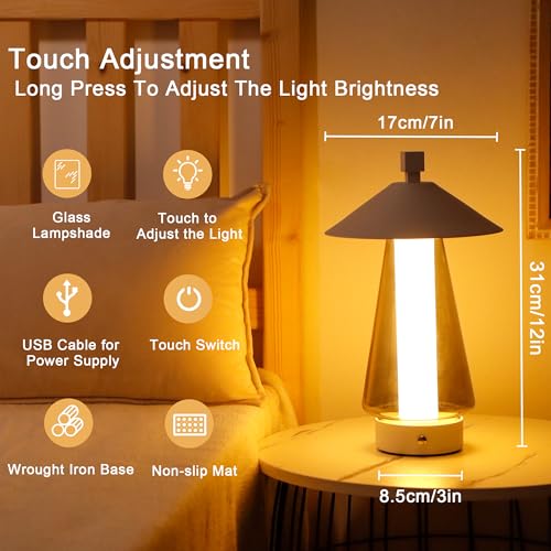 Set of 2 Stepless Dimmable Bedside Lamp 12" H LED Touch Table Lamp Nightstand Lamp with Grey Anodized Glass lampshade for Bedroom Living Room Indoors Outdoors（White (2 Count)