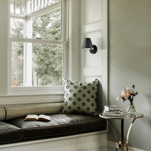 Industrial Wall Sconces with Metal Barn Wall Lights Set of 2 (2 Count)