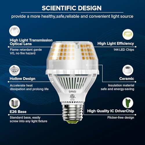 300W Equivalent 5000 Lumens LED Light Bulb (2 Count)