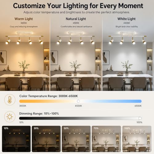 4 Light LED Track Lighting Fixtures Ceiling