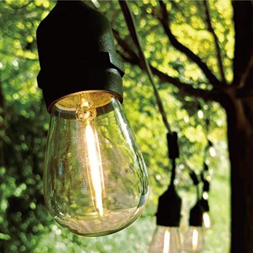 30 Pack S14 Edison String Light Bulbs (30 Count)