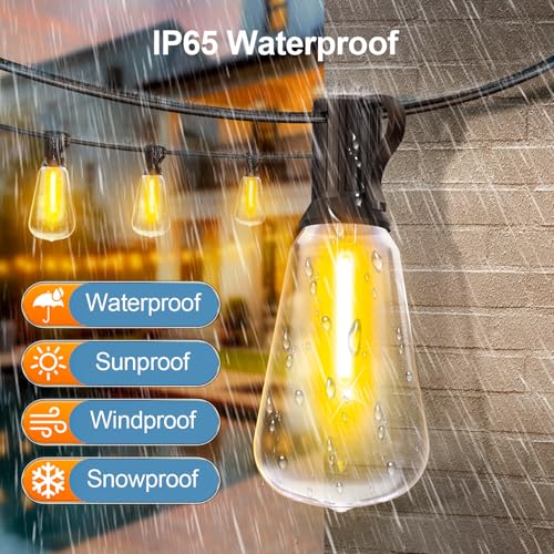 Outdoor Lights String Patio Outside (100 Foot)