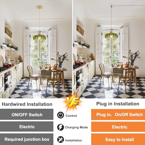 Plug in Pendant Light Hanging Light Fixtures with Plugin Cord On