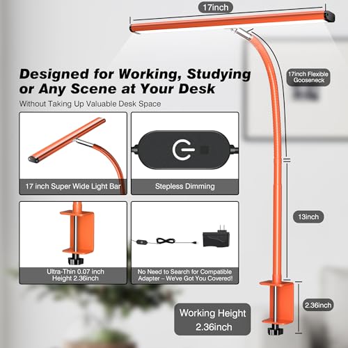 LED Desk Lamp with Clamp