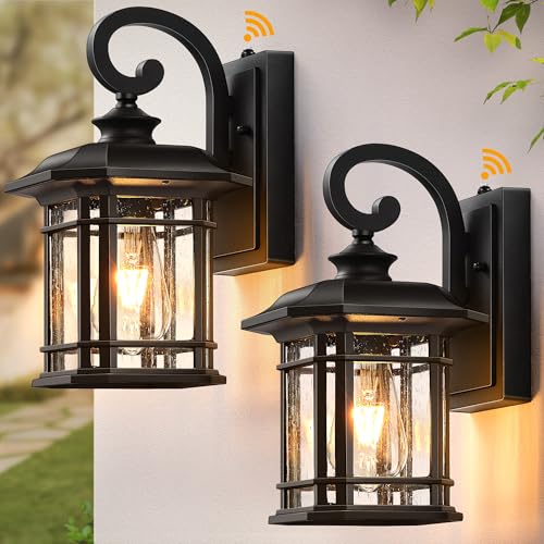 Black Outdoor Light Fixture Dusk to Dawn (2 Count)