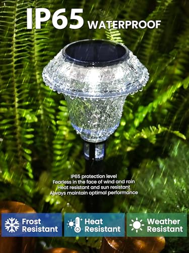 Solar Pathway Lights (6 Count)