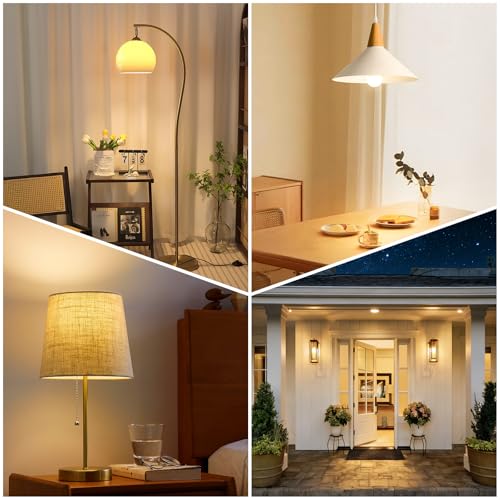 A19 LED Light Bulbs (8 Count)