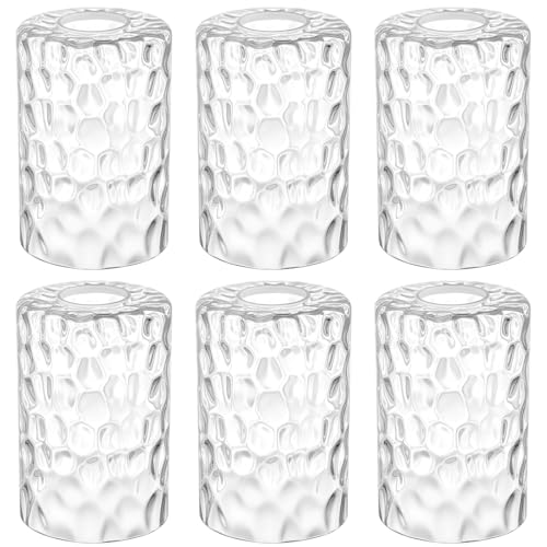 6 Pack Clear Hammered Glass Lamp Shade 1 (6 Count)