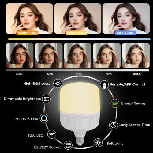 Softbox Lighting Kit with Grid (2 Count)