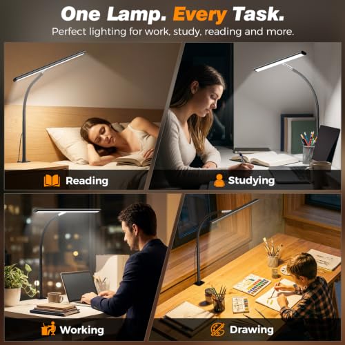 LED Desk Lamp with Clamp